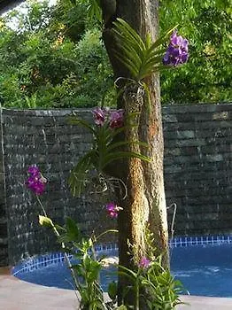 Mayfair Boutique Angkor